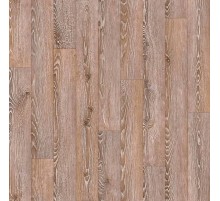 Линолеум Juteks (Ютекс) Magnit Gotick Oak 2