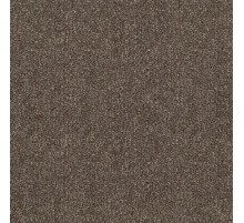 Ковровое покрытие Sintelon Dragon 31431